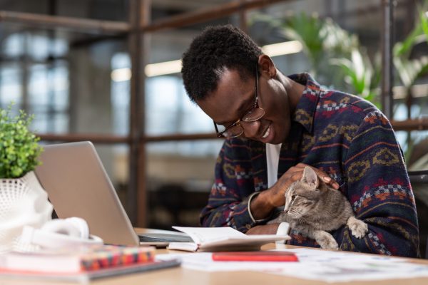 A man doing his office tasks with a cat in his hands